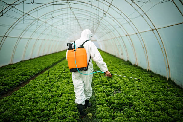Best Pest Control Near Me  in Glen Head, NY