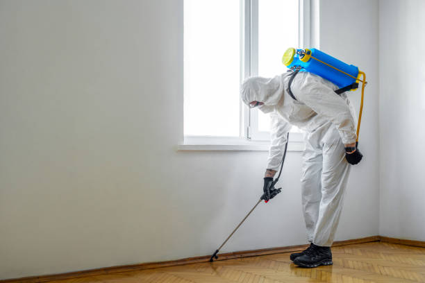 Best Pest Prevention Services  in Glen Head, NY
