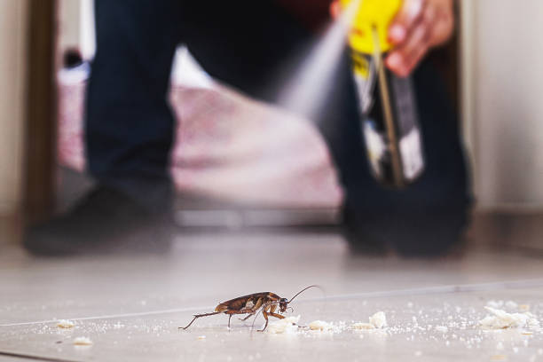 Best Cockroach Control Services  in Glen Head, NY